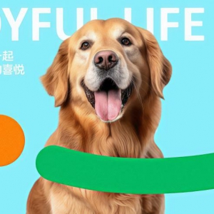 宠物经济与人宠关系升级解决方案探析