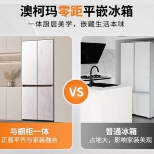小家庭省空间冰箱优选：平嵌设计解析