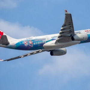 冰雪燃情 东航助梦，中国东航全方位支持保障第九届亚冬会