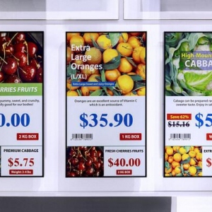 元太科技与达擎联手打造大尺寸电子纸模块生产线，强化产业布局