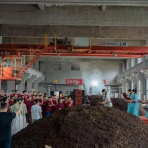 端午制曲封坛大典：酱酒文化与民俗体验的融合之旅