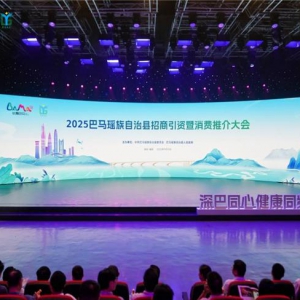 巴马大健康产业投资机遇：长寿资源与湾区市场融合