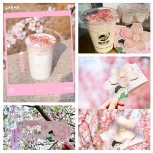 益禾堂樱花季五周年：三款限定饮品开启春日浪漫