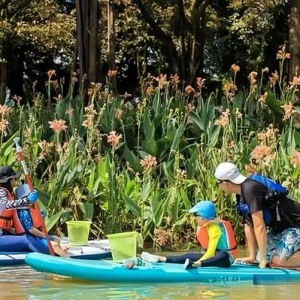 迪卡侬水上运动环保月：四年深耕运动与环保共生之路