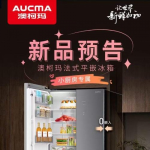 小厨房收纳难题破解法式平嵌冰箱拯救空间利用