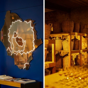 马爹利单一产区系列干邑 解析四大核心产区风土魅力