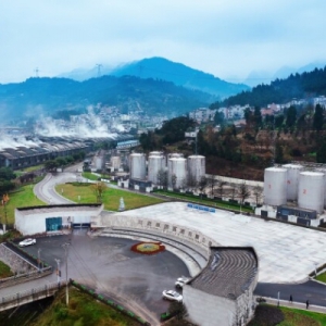 原酒产业破局之道：个性化定制如何重塑白酒消费新生态