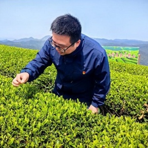 茶香寻韵红色铸魂：党建与客户服务融合的生动实践