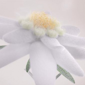 法伯丽：定义专属年轻力