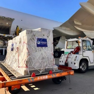 东航物流助力进博会首票展品高效通关