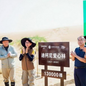 阿拉善生态修复下的品牌践行与自然共生之路