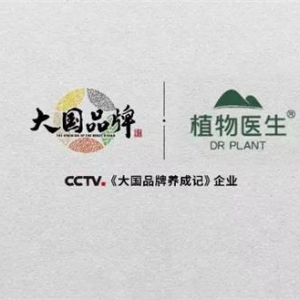 高山植物与自然美学的科技协奏