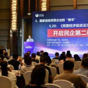 民营企业共享平台转型助力双边经济腾飞