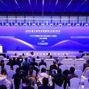 2025中国超大特大城市治理创新实践与案例分享