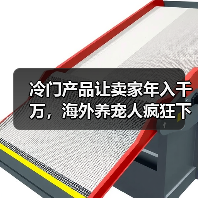 冷门产品让卖家年入千万，海外养宠人疯狂下单（图1）