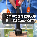 冷门产品让卖家年入千万，海外养宠人疯狂下单（图4）