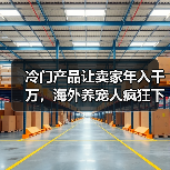 冷门产品让卖家年入千万，海外养宠人疯狂下单（图3）