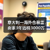 意大利一海外仓暴雷，卖家3年逃税3000万（图2）