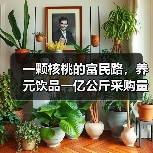 一颗核桃的富民路,养元饮品一亿公斤采购量绘就乡村振兴新图景(图2) 一颗核桃的富民路,养元饮品一亿公斤采购量绘就乡村振兴新图景(图2)