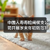 中国人寿寿险闽侯支公司开展岁末年初防范非法金融活动宣传活动（图3）