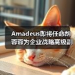 胡蓉蓉履新科技企业战略主管