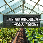 清香白酒之旅 汾阳与银川共筑产业合作新桥梁
