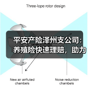 平安产险泽州支公司：养殖险快速理赔，助力养殖户渡难关（图2）