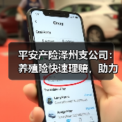 平安产险泽州支公司：养殖险快速理赔，助力养殖户渡难关（图4）