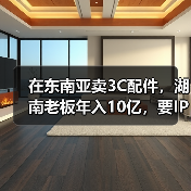 在东南亚卖3C配件,湖南老板年入10亿,要IPO了(图4) 在东南亚卖3C配件,湖南老板年入10亿,要IPO了(图4)