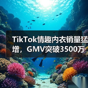 TikTok情趣内衣销量猛增,GMV突破3500万(图1) TikTok情趣内衣销量猛增,GMV突破3500万(图1)