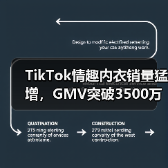 TikTok情趣内衣销量猛增,GMV突破3500万(图2) TikTok情趣内衣销量猛增,GMV突破3500万(图2)