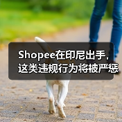Shopee在印尼出手,这类违规行为将被严惩(图1) Shopee在印尼出手,这类违规行为将被严惩(图1)