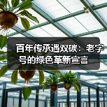 百年传承遇双碳：老字号的绿色革新宣言（图3）