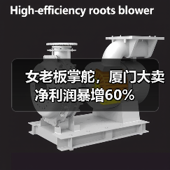 女老板掌舵,厦门大卖净利润暴增60%(图1) 女老板掌舵,厦门大卖净利润暴增60%(图1)