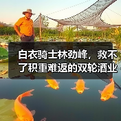 白衣骑士林劲峰,救不了积重难返的双轮酒业(图4) 白衣骑士林劲峰,救不了积重难返的双轮酒业(图4)