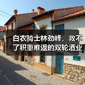 白衣骑士林劲峰,救不了积重难返的双轮酒业(图1) 白衣骑士林劲峰,救不了积重难返的双轮酒业(图1)
