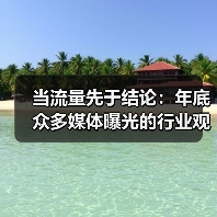 当流量先于结论：年底众多媒体曝光的行业观察（图4）