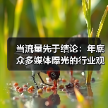 当流量先于结论：年底众多媒体曝光的行业观察（图3）