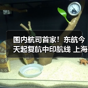 国内航司首家!东航今天起复航中印航线 上海浦东—德里每周执行3班(图4) 国内航司首家!东航今天起复航中印航线 上海浦东—德里每周执行3班(图4)