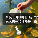 东航11月30日开航“北京大兴—马斯喀特”直飞航线(图1) 东航11月30日开航“北京大兴—马斯喀特”直飞航线(图1)