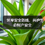 筑牢安全防线,共护生命财产安全(图3) 筑牢安全防线,共护生命财产安全(图3)