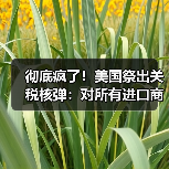 彻底疯了!美国祭出关税核弹:对所有进口商品征收100%关税!(图1) 彻底疯了!美国祭出关税核弹:对所有进口商品征收100%关税!(图1)