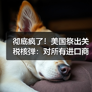 彻底疯了!美国祭出关税核弹:对所有进口商品征收100%关税!(图2) 彻底疯了!美国祭出关税核弹:对所有进口商品征收100%关税!(图2)