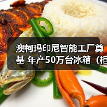 澳柯玛印尼智能工厂奠基 年产50万台冰箱（柜）项目启动（图2）