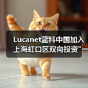 Lucanet蓝科中国加入上海虹口区双向投资