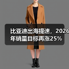 比亚迪出海提速，2026年销量目标再涨25%（图4）