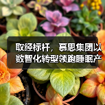 取经标杆,慕思集团以数智化转型领跑睡眠产业新纪元(图4) 取经标杆,慕思集团以数智化转型领跑睡眠产业新纪元(图4)