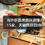 海外新品牌首店激增2415家,天猫国际日均6家开店(图1) 海外新品牌首店激增2415家,天猫国际日均6家开店(图1)