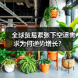 全球贸易紧张下空运需求为何逆势增长？（图1）