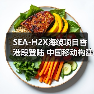 SEA-H2X国际海缆项目港段启动 重塑亚太数字连接格局